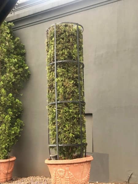 Garden Decor